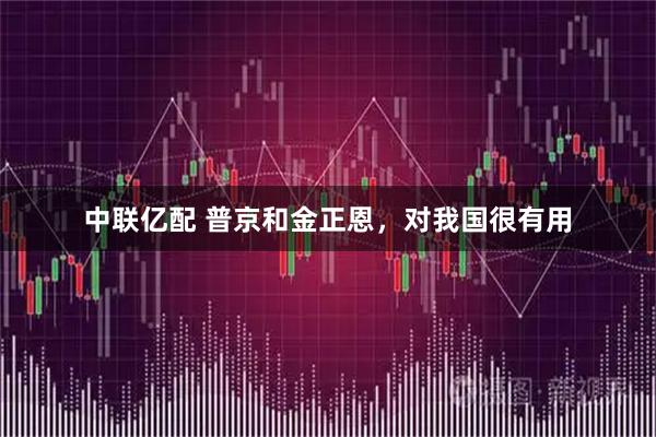 中联亿配 普京和金正恩，对我国很有用