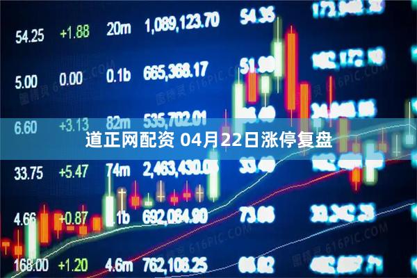 道正网配资 04月22日涨停复盘