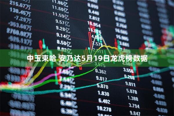 中玉束哈 安乃达5月19日龙虎榜数据