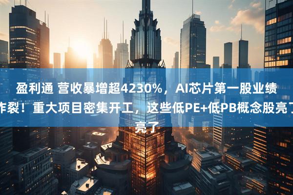 盈利通 营收暴增超4230%，AI芯片第一股业绩炸裂！重大项目密集开工，这些低PE+低PB概念股亮了