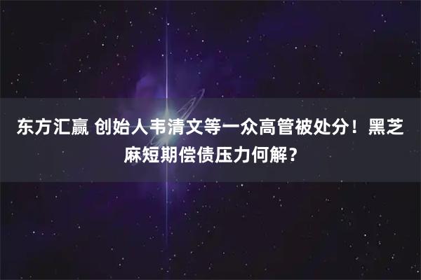 东方汇赢 创始人韦清文等一众高管被处分！黑芝麻短期偿债压力何解？