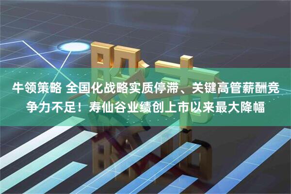 牛领策略 全国化战略实质停滞、关键高管薪酬竞争力不足！寿仙谷业绩创上市以来最大降幅