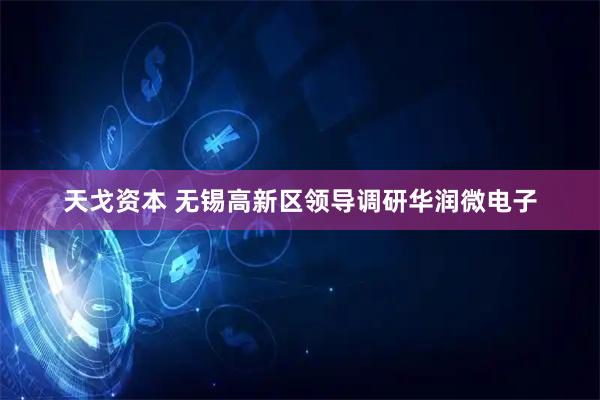 天戈资本 无锡高新区领导调研华润微电子
