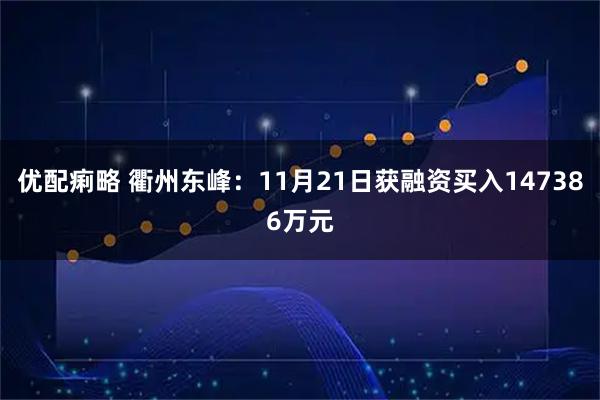 优配痢略 衢州东峰：11月21日获融资买入147386万元