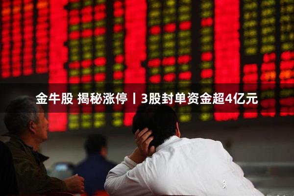 金牛股 揭秘涨停丨3股封单资金超4亿元